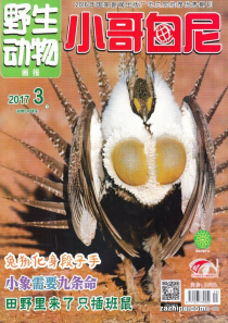 《小哥白尼?野生動物》